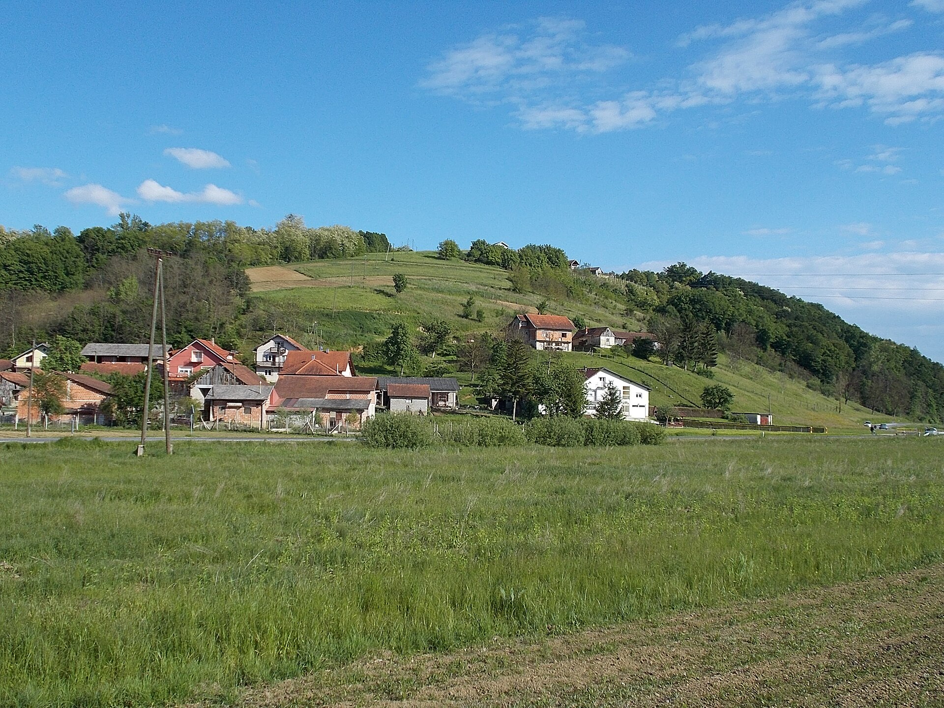 Mače