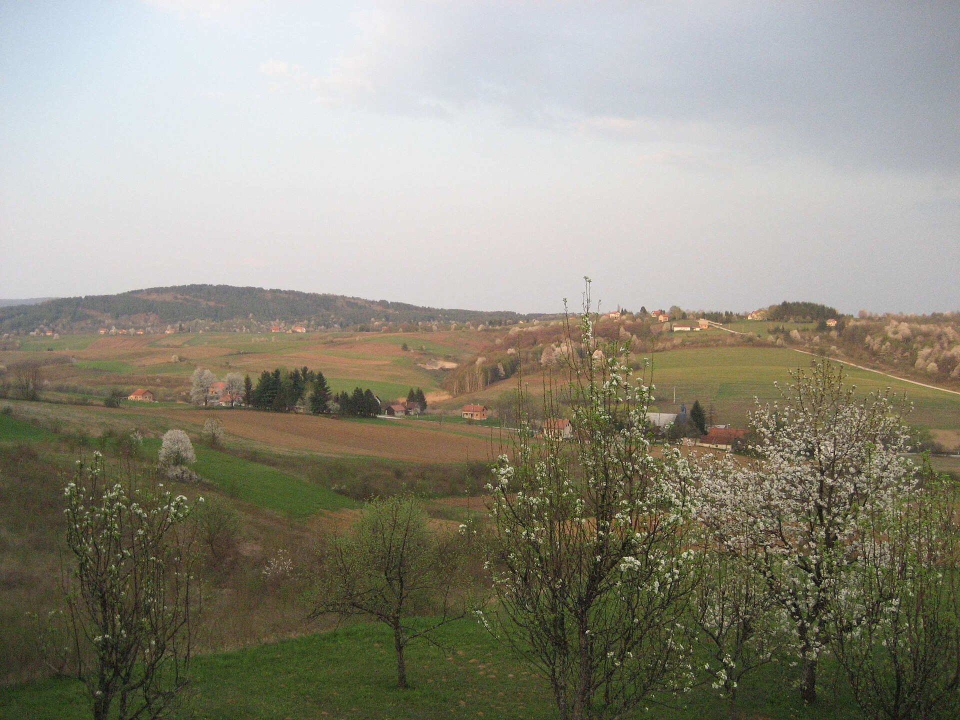 Rakovica