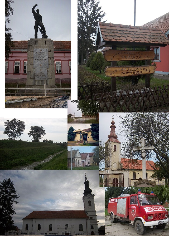 Trpinja